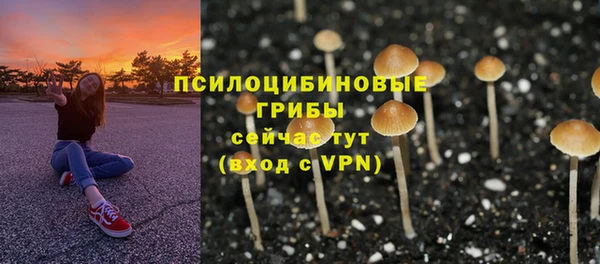 твердый Зерноград