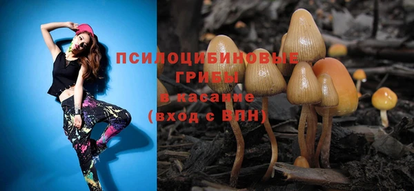 PSILOCYBIN Зеленокумск